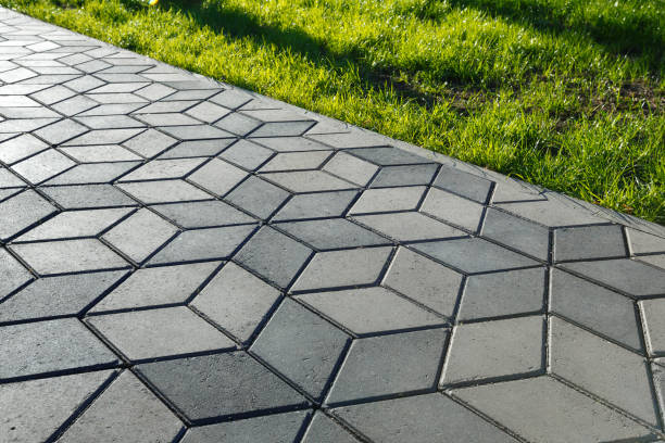 Best Driveway Pavers Near Me  in Twin Grove, IL