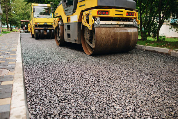 Best Local Driveway Pavers  in Twin Grove, IL